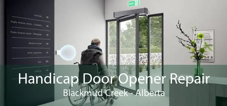 Handicap Door Opener Repair Blackmud Creek - Alberta