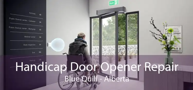 Handicap Door Opener Repair Blue Quill - Alberta