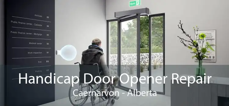 Handicap Door Opener Repair Caernarvon - Alberta