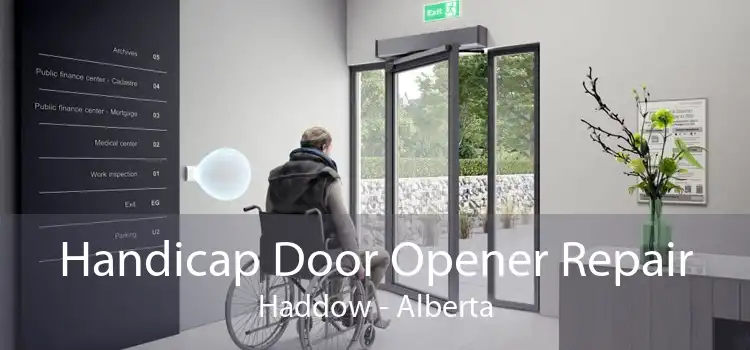 Handicap Door Opener Repair Haddow - Alberta