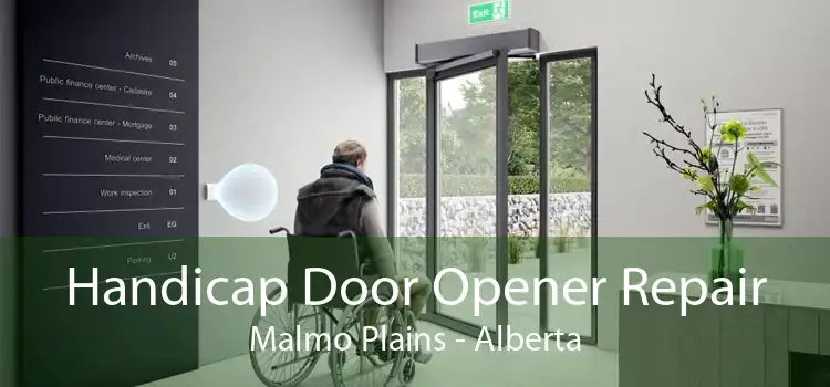 Handicap Door Opener Repair Malmo Plains - Alberta