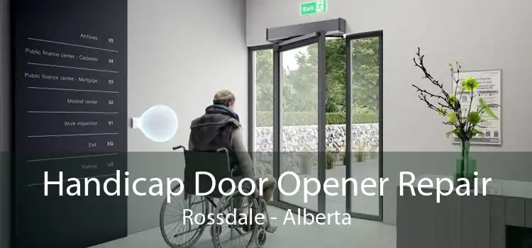 Handicap Door Opener Repair Rossdale - Alberta