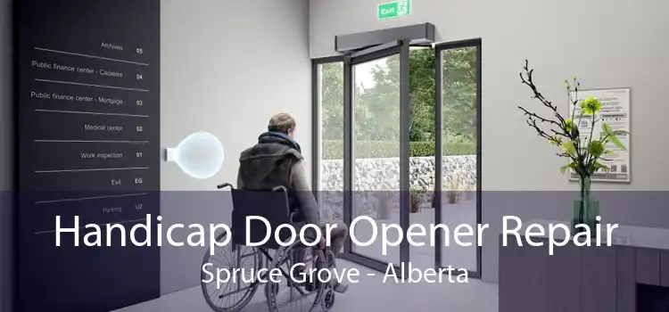 Handicap Door Opener Repair Spruce Grove - Alberta