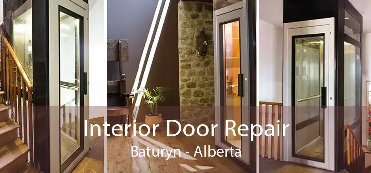 Interior Door Repair Baturyn - Alberta