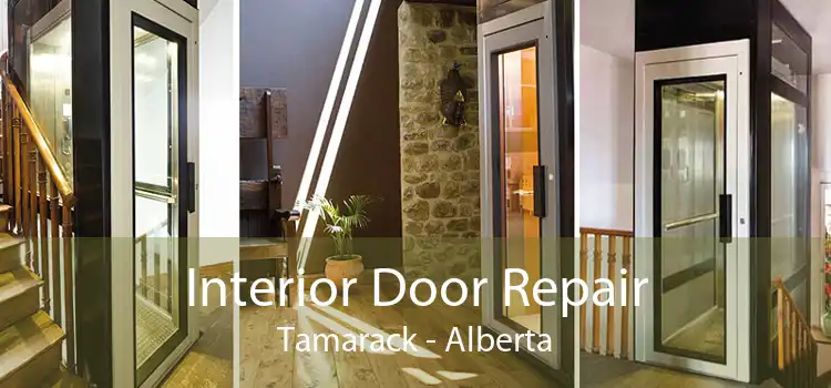 Interior Door Repair Tamarack - Alberta