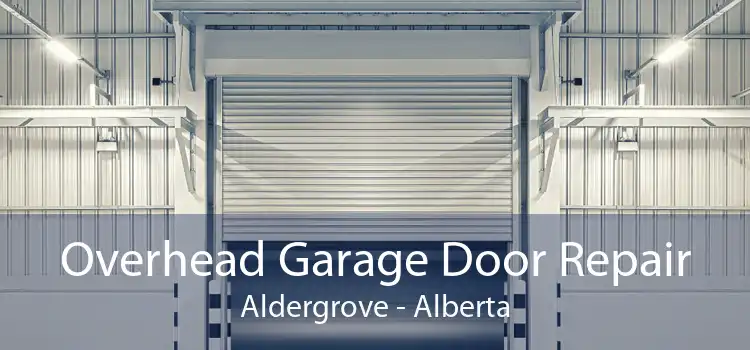 Overhead Garage Door Repair Aldergrove - Alberta