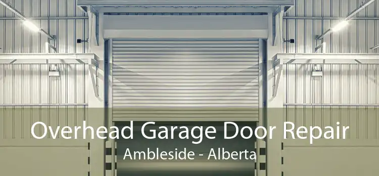 Overhead Garage Door Repair Ambleside - Alberta