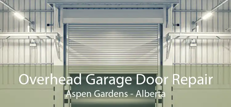 Overhead Garage Door Repair Aspen Gardens - Alberta