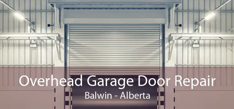 Overhead Garage Door Repair Balwin - Alberta