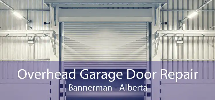 Overhead Garage Door Repair Bannerman - Alberta