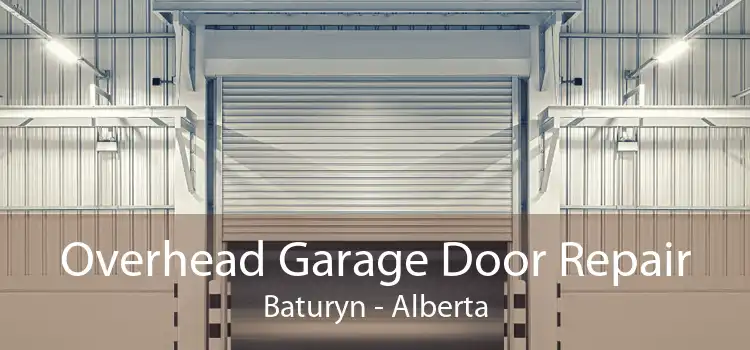 Overhead Garage Door Repair Baturyn - Alberta