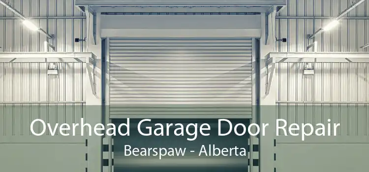 Overhead Garage Door Repair Bearspaw - Alberta