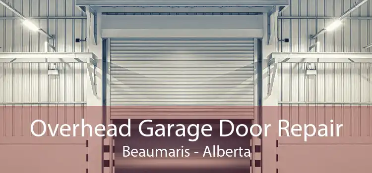 Overhead Garage Door Repair Beaumaris - Alberta