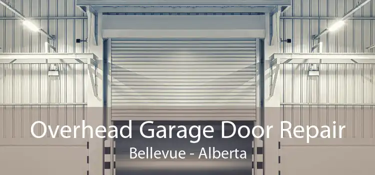 Overhead Garage Door Repair Bellevue - Alberta