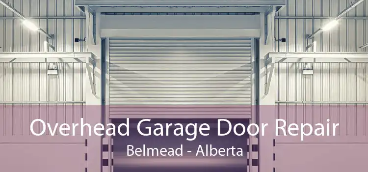 Overhead Garage Door Repair Belmead - Alberta