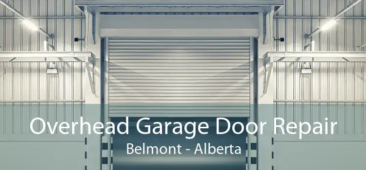 Overhead Garage Door Repair Belmont - Alberta