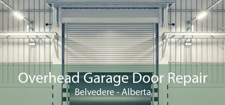 Overhead Garage Door Repair Belvedere - Alberta