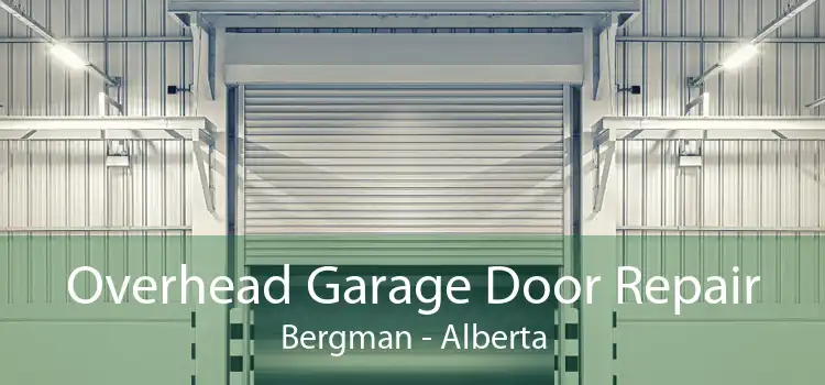 Overhead Garage Door Repair Bergman - Alberta