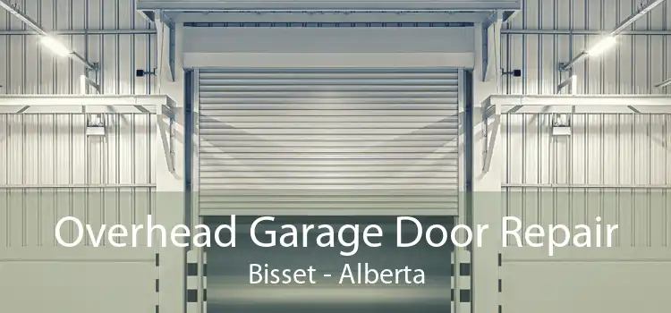 Overhead Garage Door Repair Bisset - Alberta