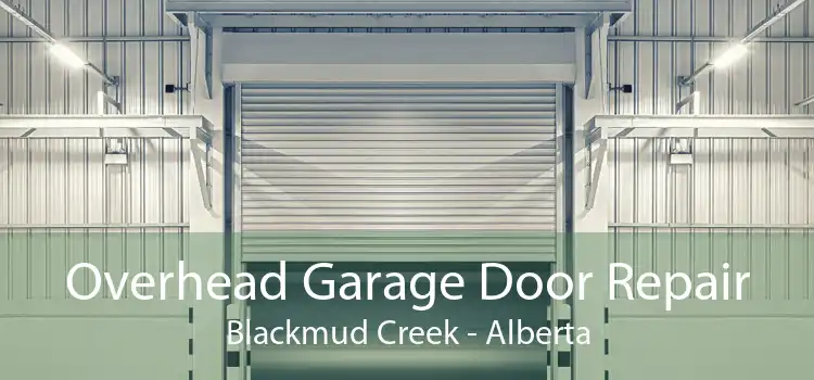 Overhead Garage Door Repair Blackmud Creek - Alberta