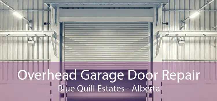 Overhead Garage Door Repair Blue Quill Estates - Alberta