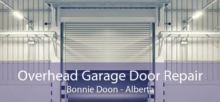 Overhead Garage Door Repair Bonnie Doon - Alberta