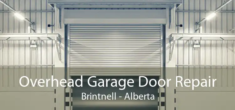 Overhead Garage Door Repair Brintnell - Alberta