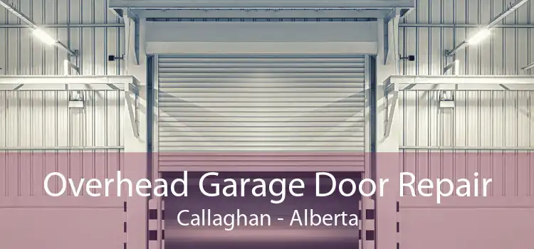 Overhead Garage Door Repair Callaghan - Alberta