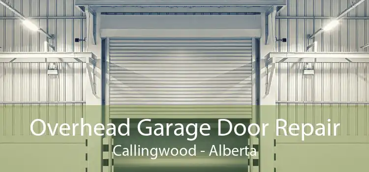 Overhead Garage Door Repair Callingwood - Alberta