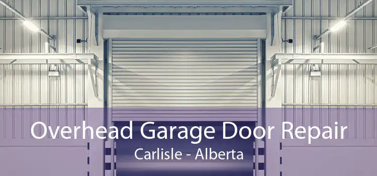 Overhead Garage Door Repair Carlisle - Alberta