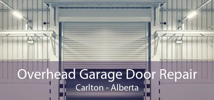 Overhead Garage Door Repair Carlton - Alberta