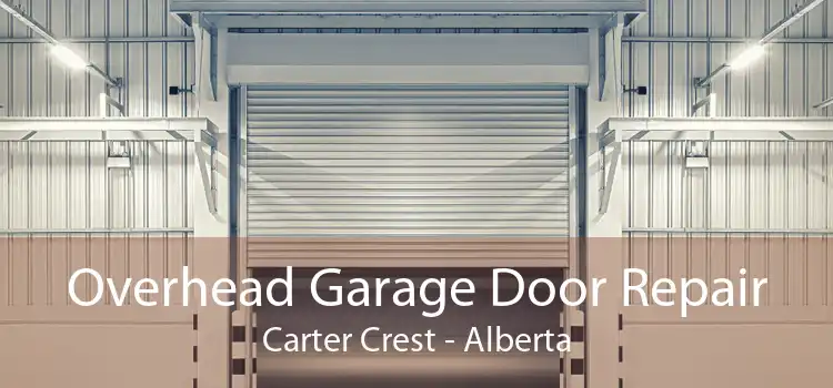 Overhead Garage Door Repair Carter Crest - Alberta