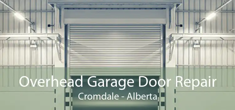 Overhead Garage Door Repair Cromdale - Alberta