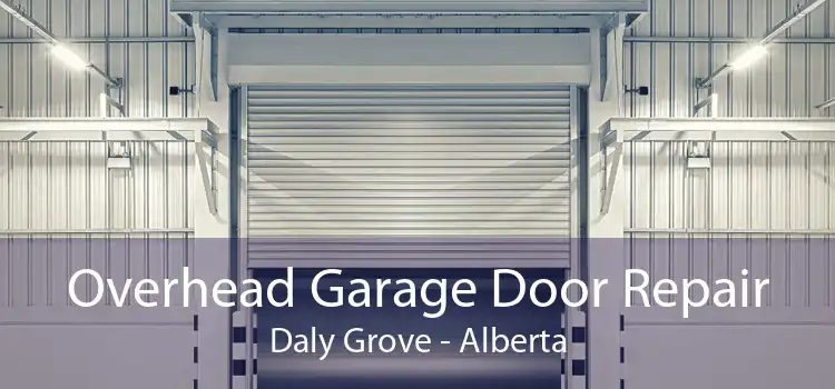 Overhead Garage Door Repair Daly Grove - Alberta