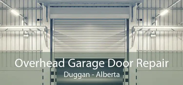 Overhead Garage Door Repair Duggan - Alberta