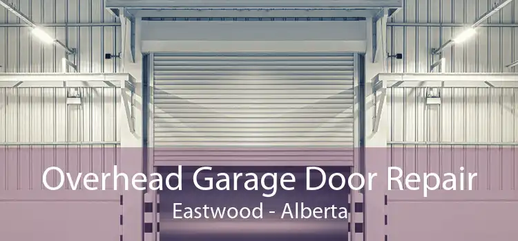 Overhead Garage Door Repair Eastwood - Alberta