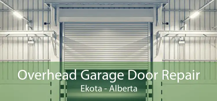 Overhead Garage Door Repair Ekota - Alberta