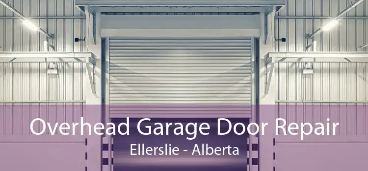 Overhead Garage Door Repair Ellerslie - Alberta