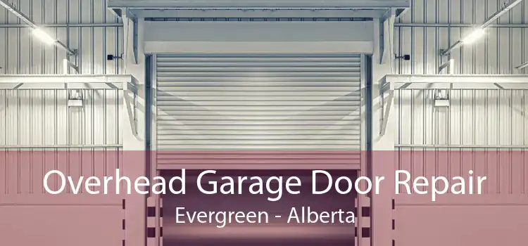 Overhead Garage Door Repair Evergreen - Alberta