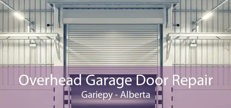 Overhead Garage Door Repair Gariepy - Alberta