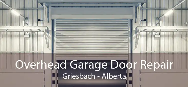 Overhead Garage Door Repair Griesbach - Alberta