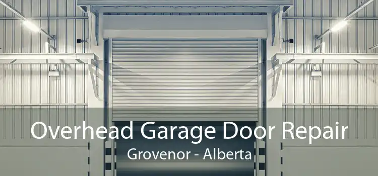 Overhead Garage Door Repair Grovenor - Alberta