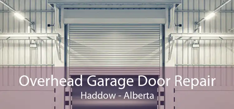 Overhead Garage Door Repair Haddow - Alberta