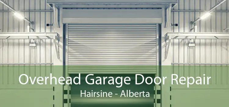 Overhead Garage Door Repair Hairsine - Alberta