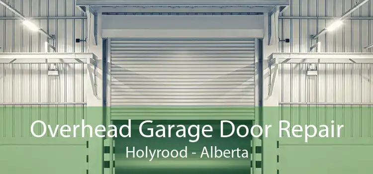 Overhead Garage Door Repair Holyrood - Alberta