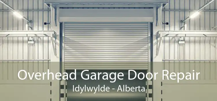 Overhead Garage Door Repair Idylwylde - Alberta