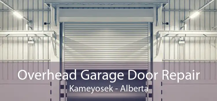 Overhead Garage Door Repair Kameyosek - Alberta