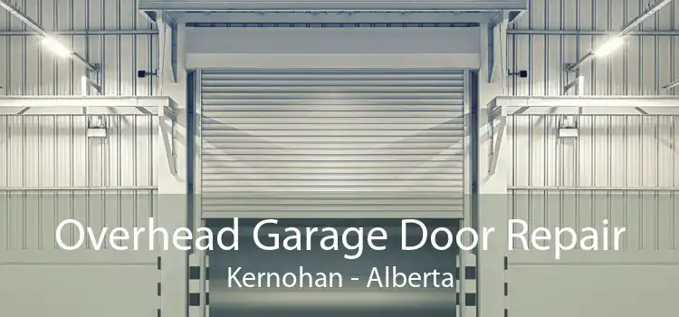 Overhead Garage Door Repair Kernohan - Alberta