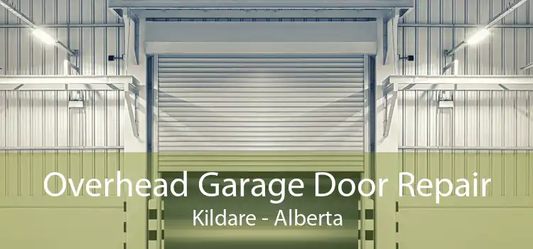 Overhead Garage Door Repair Kildare - Alberta