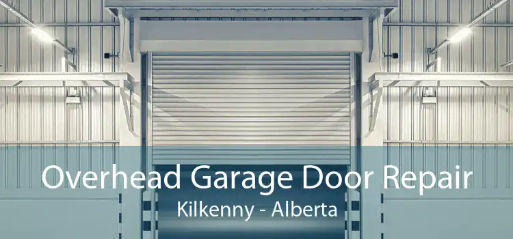 Overhead Garage Door Repair Kilkenny - Alberta